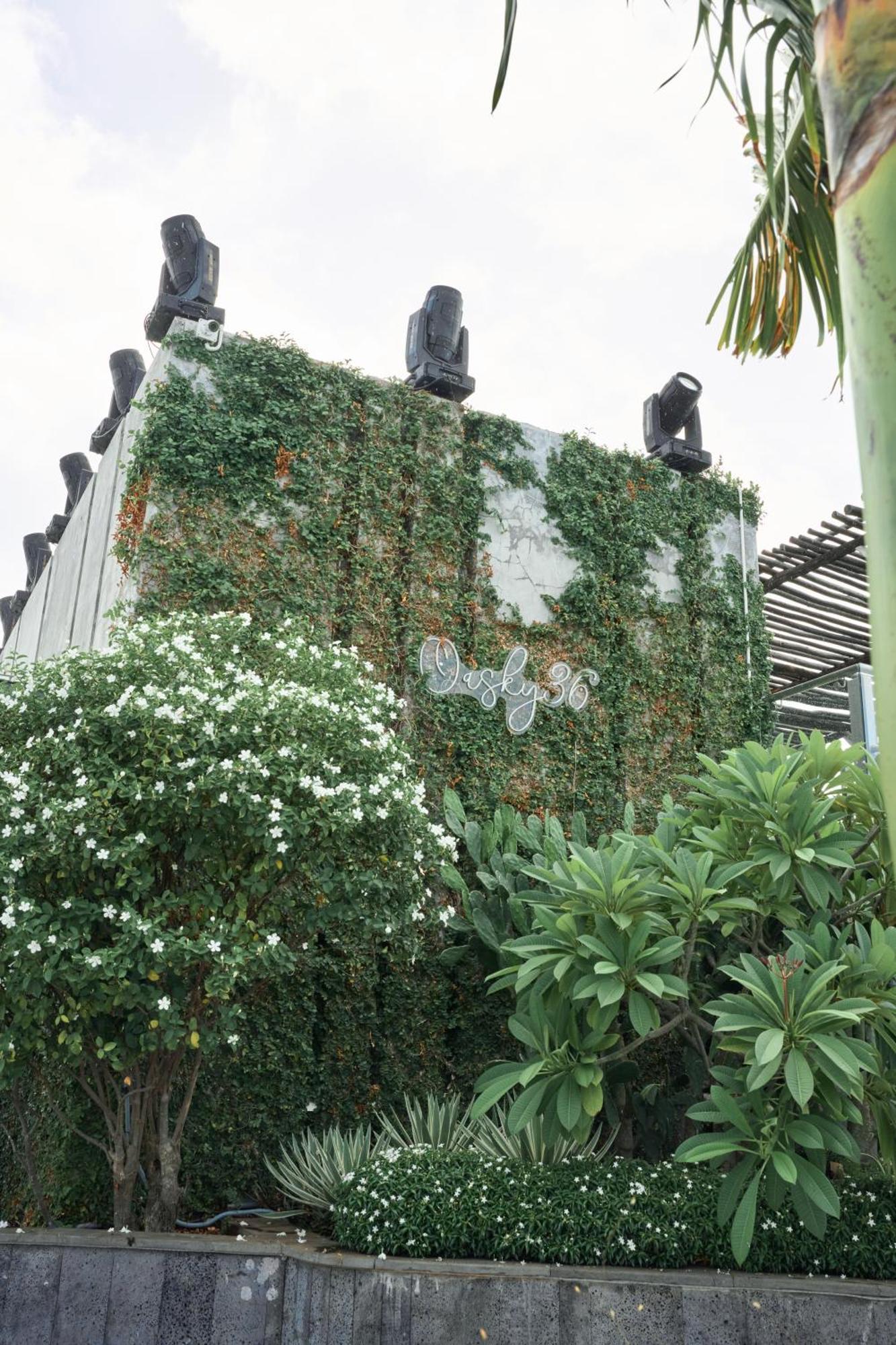 Pooh House 2 - Oasky 3 Bedrooms Apartment Vung Tau Exterior foto